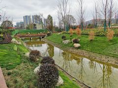-府河摄影公园