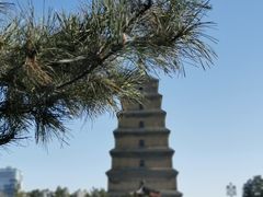 -大雁塔北广场音乐喷泉