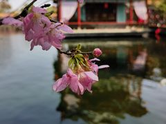 -宝墨园景区
