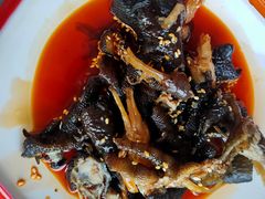 -向外鱼乐·土菜·虹鳟鱼