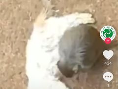 -昆明动物园