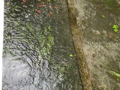 -水磨沟公园