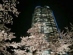 -东京都厅舍
