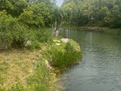 -尚贤河湿地