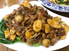 蚝油蘑菇牛柳-白魁老号饭庄(交道口店)