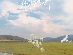 -丰宁坝上草原