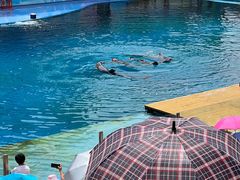 -北戴河圣蓝海洋公园