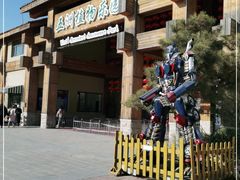 -南宫五洲植物乐园