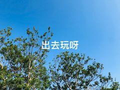 -汉堡王(华发中央公园店)