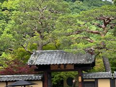 -天龙寺