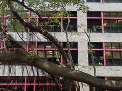 -香港大学