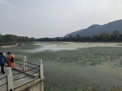 -函谷关历史文化旅游区