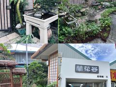 -自由生长植物工作室(深港花卉中心店)