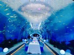-海棠湾洲际-涛·海底餐厅·美人鱼·自助餐·海底隧道