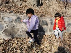 -北京鹫峰国家森林公园