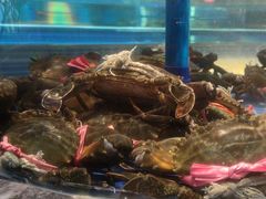 -海立阁海鲜江浙菜(漕河泾印象城店)