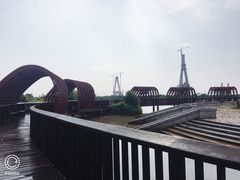 -芒洲湿地公园