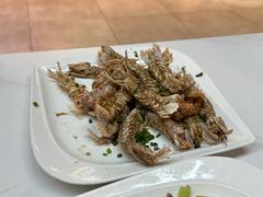 -新楚记
