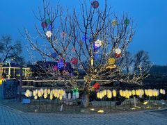 -稻香湖景欢乐岛温泉城堡