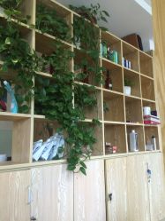 点击看大图 -潘多拉Hairsalon