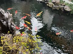-鲤院·新中式美学·庭院餐厅(夫子庙店)