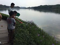 -南国桃园旅游度假区