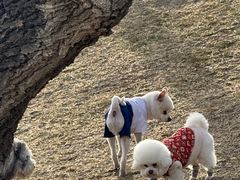 -小意思咖啡店(草桥店)