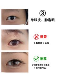 -丽尔美睫