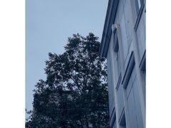 -京馔手工吐司(春熙路店)