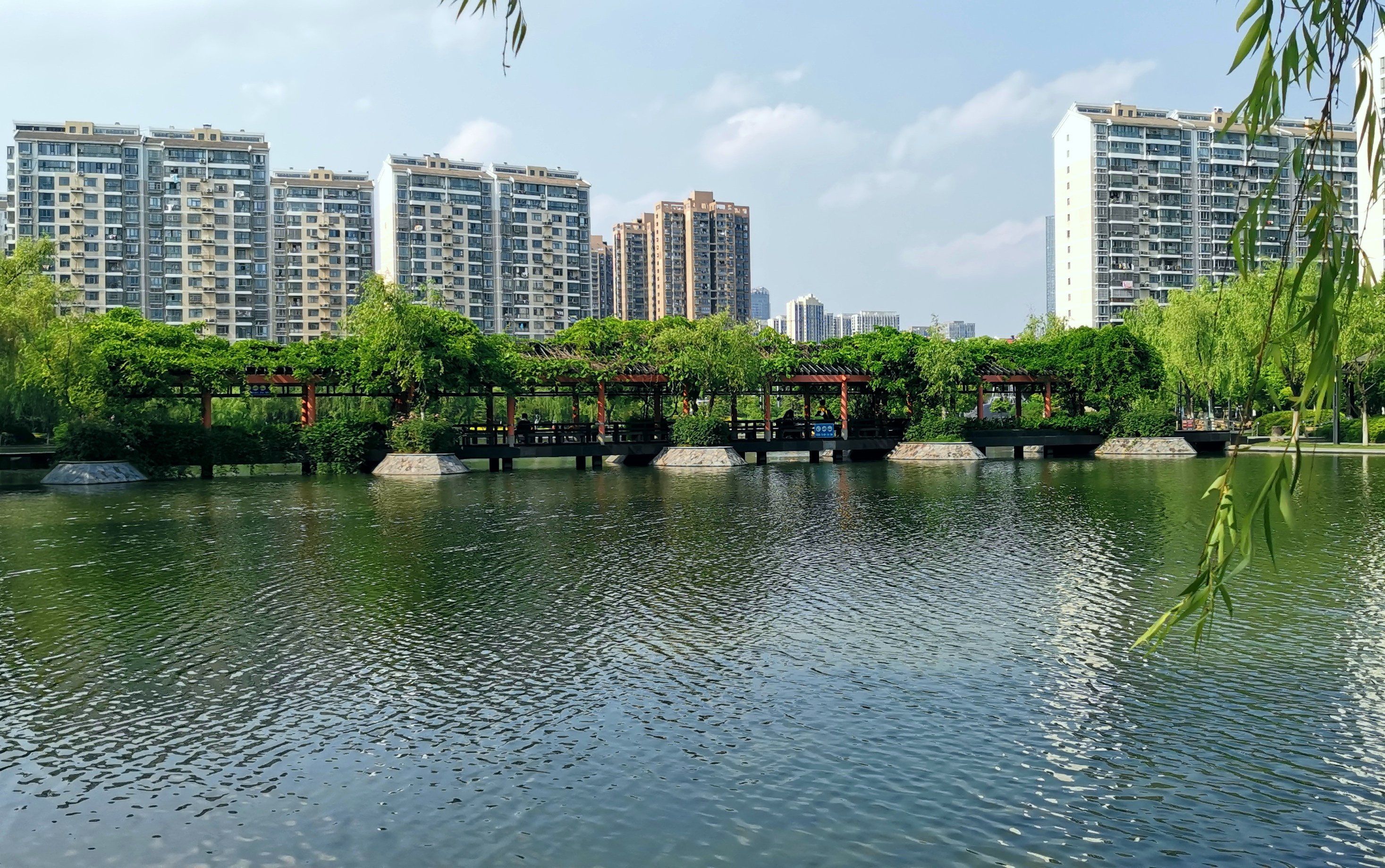 家门口的"望湖公园",天天看都觉得很漂亮!