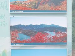 -北京西山国家森林公园