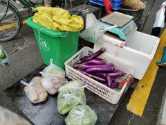 -东仓门早市