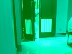 -忆江南·临江鱼馆