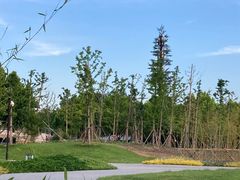 -上海山野camping·户外天幕烧烤·团建拓展营地