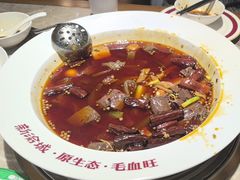-新渝城·始于2000年(淘金店)