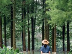 -重庆彩云湖湿地公园