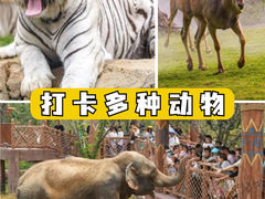 -郑州银基国际旅游度假区