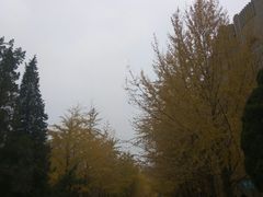 -辽宁大学(崇山校区)