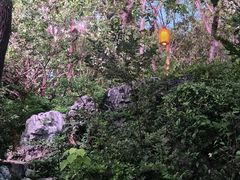 -湖州太湖旅游度假区-月亮广场