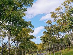 -牛岗山公园