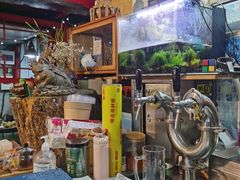 -西单翅酷(西单店)
