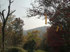 -南山风景名胜区