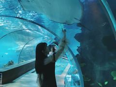 -石家庄海洋公园