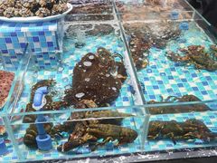 -映像威海·海鲜味道(市区店)
