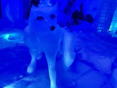 -石林冰雪海洋世界