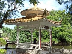 -荔枝公园(福田区)