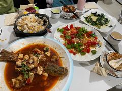 -煲来饱去冷水鱼