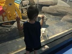-梦幻海洋王国(吾悦广场张家港店)