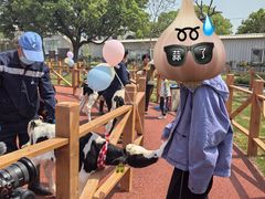 -光明牧业有限公司金山种奶牛场
