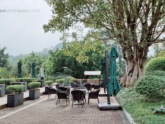 -福建鲤鱼洲酒店